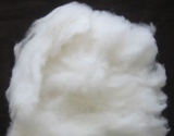 【毛料纱线】羊毛（Wool）