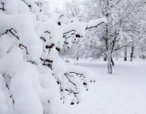 0℃！接下来还有降温降水+霜冻雾霾，冬季安全生产这几点必须要注意!